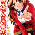 「b173akskr00105 おねえさんにおまかせ」のサムネイル画像