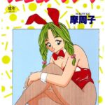 「b390bleed00561 フェロモン・フリーク」のサムネイル画像