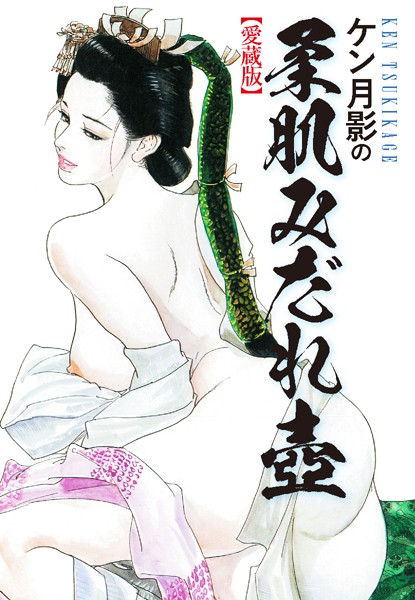 「b544atsmi02749 ケン月影の 柔肌みだれ壺（愛蔵版）」のサムネイル画像