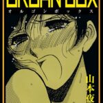 「b750bgrzr00781 ORGAN BOX」のサムネイル画像