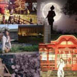 「d_222670 美麗画3」のサムネイル画像