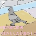 「d_243761 河川敷の鳩に給餌 ほのぼのとした日常の1コマ」のサムネイル画像
