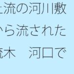 「d_258383zero 【無料】上流の河川敷から流された流木 河口でとある旅人に拾われて」のサムネイル画像