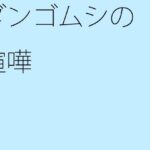 「d_265545zero 【無料】ダンゴムシの喧嘩」のサムネイル画像