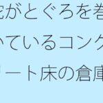 「d_265679 蛇がとぐろを巻いているコンクリート床の倉庫の隅」のサムネイル画像