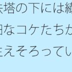 「d_267248 鉄塔の下には繊細なコケたちが生えそろっていた」のサムネイル画像