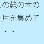 「d_290163zero 【無料】山の麓の木の欠片を集めて・・・」のサムネイル画像