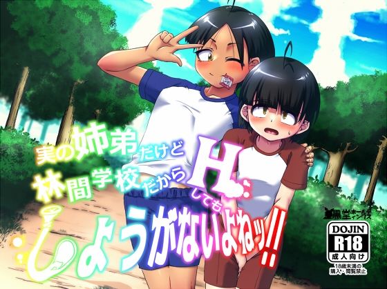 「d_309140 実の姉弟だけど林間学校だからHしてもしょうがないよねッ！！」のサムネイル画像
