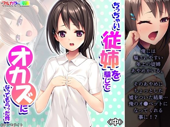 「d_312457 ち〇ちゃい従姉を騙してオカズになってもらった件 中」のサムネイル画像