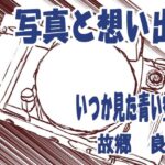 「d_313451 写真と想い出」のサムネイル画像