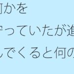 「d_364903 何かを守っていたが 進んでくると何のことかさっぱり分からなくなった」のサムネイル画像