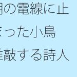 「d_385354zero 【無料】朝の電線に止まった小鳥 推敲する詩人」のサムネイル画像