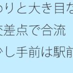 「d_435754 わりと大き目な交差点で合流 少し手前は駅前歩道の草むら・・・」のサムネイル画像