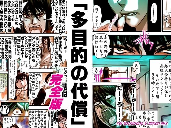 「d_522641 完全版 多目的の代償」のサムネイル画像