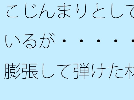 「d_526227zero 【無料】こじんまりとしているが・・・・・膨張して弾けた材料」のサムネイル画像
