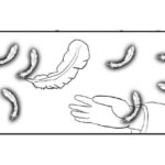 「d_528089 ラ○ライブ！3コマ漫画「EDのPVでハネを使いすぎた結果」」のサムネイル画像