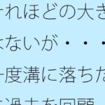 「d_530236 それほどの大きさはないが・・・・一度溝に落ちた後に過去を回顧」のサムネイル画像