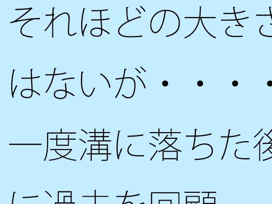 「d_530236 それほどの大きさはないが・・・・一度溝に落ちた後に過去を回顧」のサムネイル画像