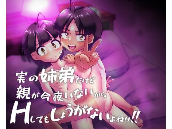 「d_569163 実の姉弟だけど親が今夜いないからHしてもしょうがないよねッ！！」のサムネイル画像