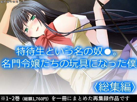 「d_584839 特待生という名の奴●。名門令嬢たちの玩具になった僕 ＜総集編＞」のサムネイル画像