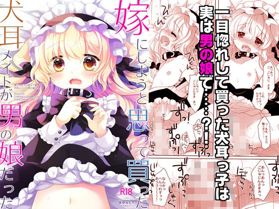 「d_587370 嫁にしようと思って買った犬耳メイドが男の娘だった」のサムネイル画像