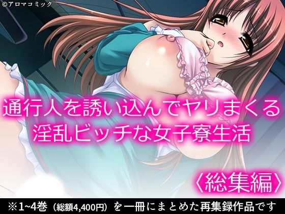 「d_588989 通行人を誘い込んでヤリまくる淫乱ビッチな女子寮生活 ＜総集編＞」のサムネイル画像