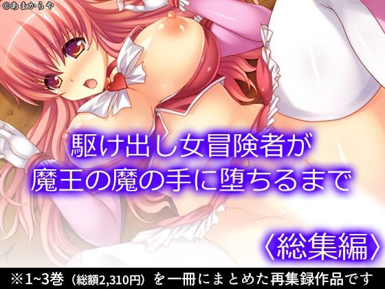 「d_594646 駆け出し女冒険者が魔王の魔の手に堕ちるまで ＜総集編＞」のサムネイル画像