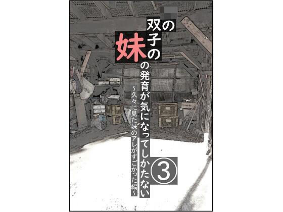 「d_676546 双子の妹の発育が気になってしかたない 3 〜久々に見た妹のアレがすごかった編〜」のサムネイル画像