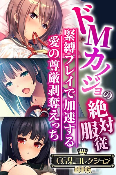 「k187afrnt06745 ドMカノジョの絶対服従 〜緊縛プレイで加速する愛の尊厳剥奪えっち〜【CG集コレクションBIG】」のサムネイル画像