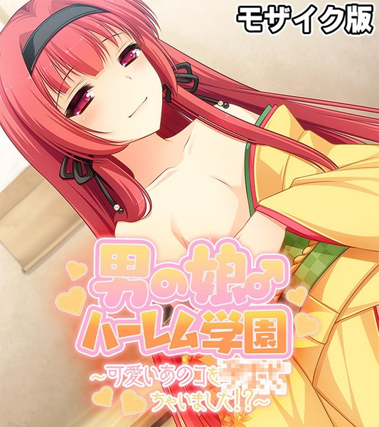 「k187afrnt11034 男の娘♂ハーレム学園 モザイク版 〜可愛いあのコを×××ちゃいました！？〜」のサムネイル画像